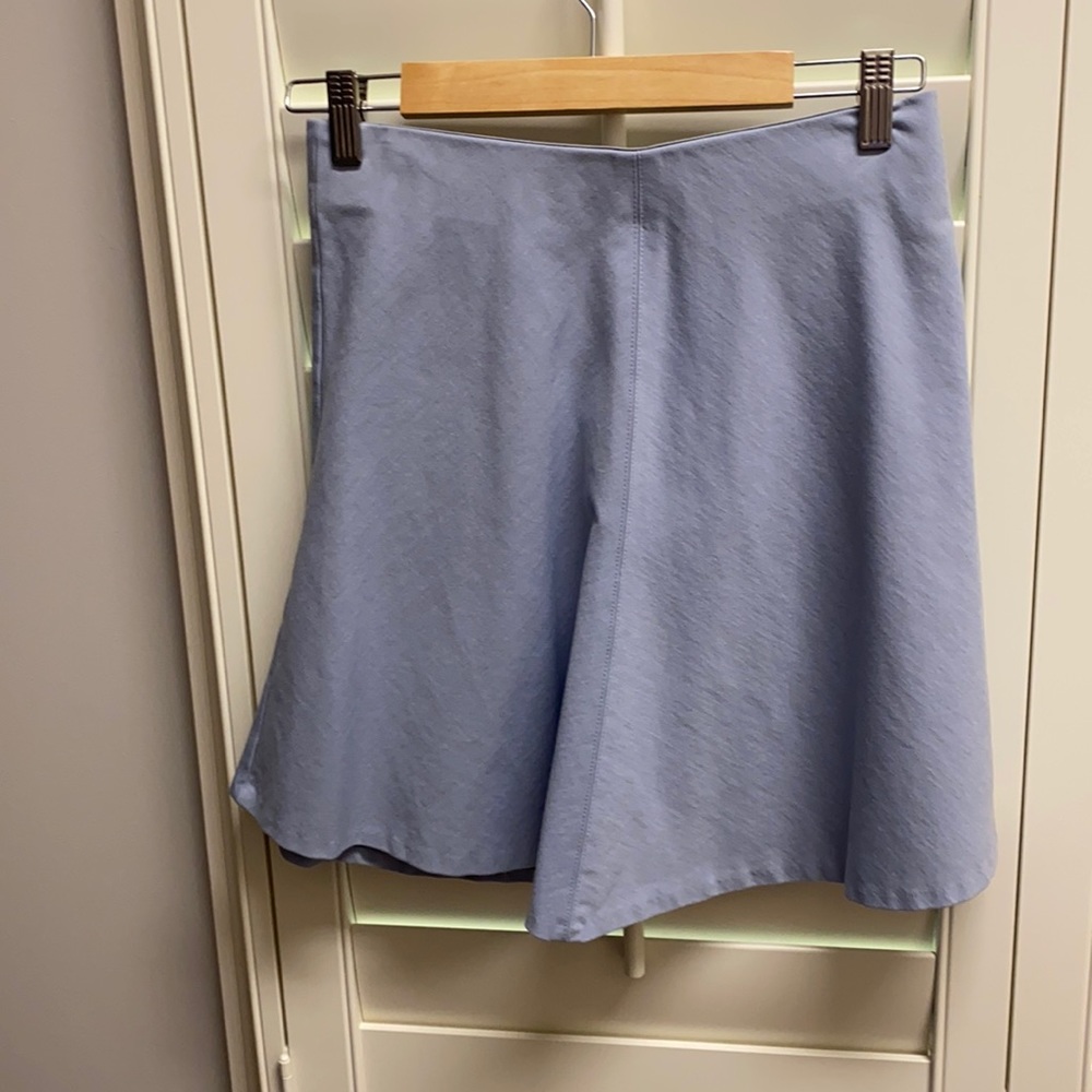 Blue Skirt